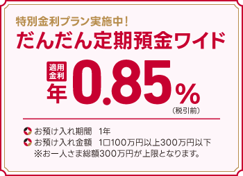 特別金利プラン実施中！ だんだん定期預金ワイド 適用金利 年0.30%（税引前） お預け入れ期間 1年 お預け入れ金額 1口100万円以上300万円以内 ※お一人さま総額300万円が上限となります。