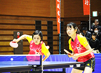 鳥居・藤井組