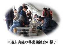 愛媛銀行本店で犬の移動譲渡会を開催します！