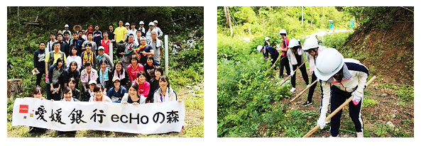 「愛媛銀行ecHoの森」森林づくり活動を実施します！