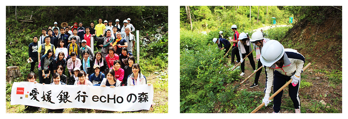 「愛媛銀行ecHoの森」森林づくり活動を実施します