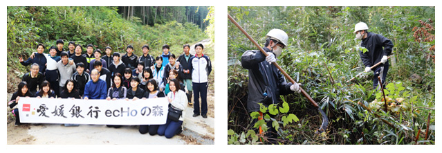 「愛媛銀行ecHoの森」森林づくり活動を実施します