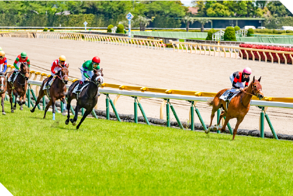 JRA（中央競馬）/地方競馬