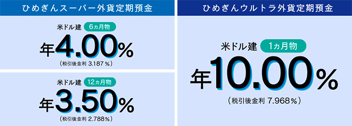 インターネット外貨定期預金