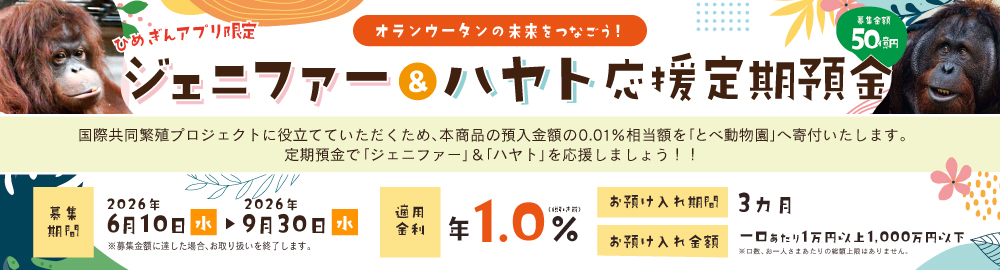 ジェニファー&ハヤト応援定期預金